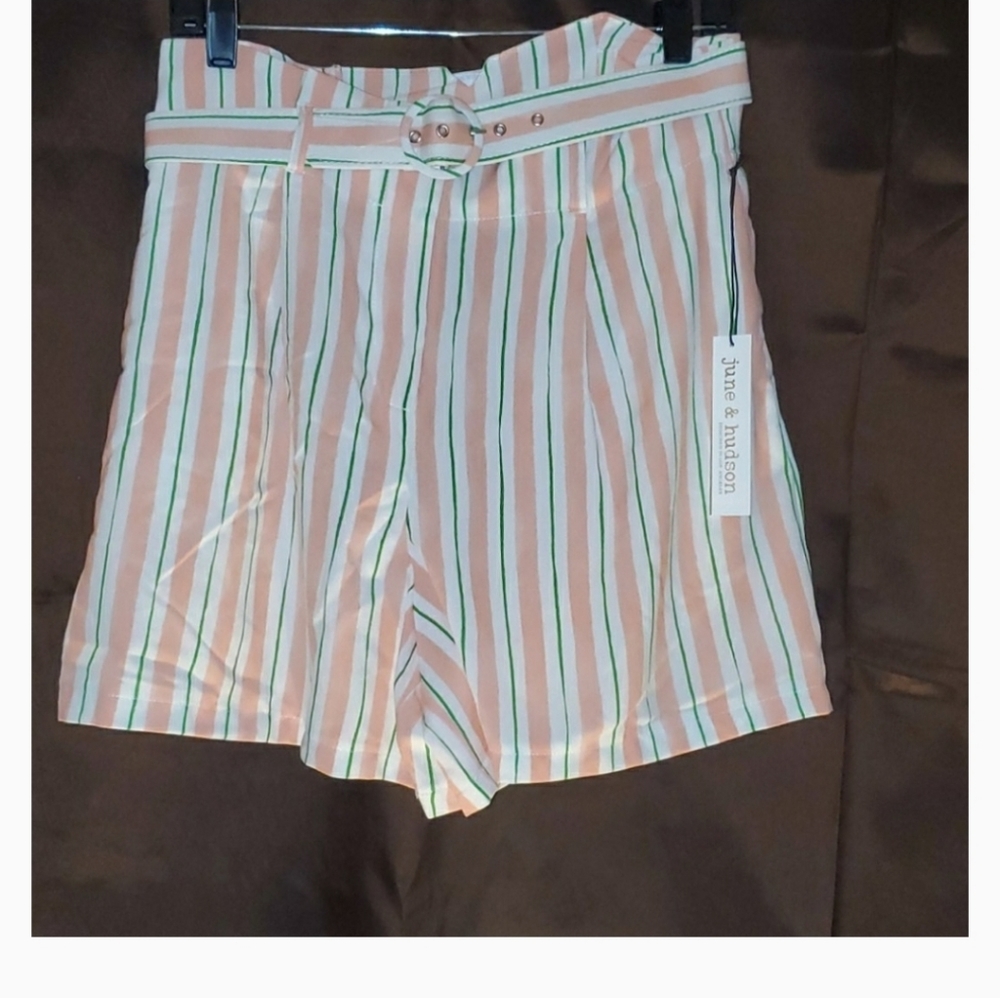 NWT June & Hudson Paperbag Belted Shorts (Large) - Picture 11 of 11